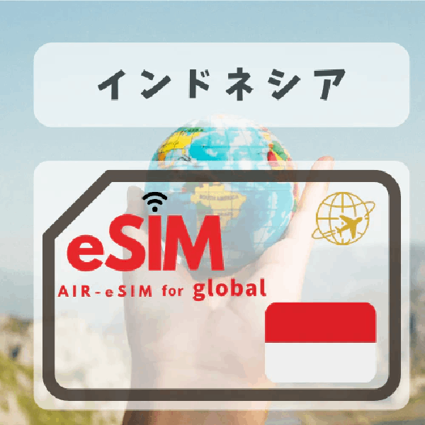 GTN インドネシア eSIM